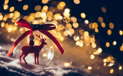 Belles fêtes de fin d’année à toutes et à tous