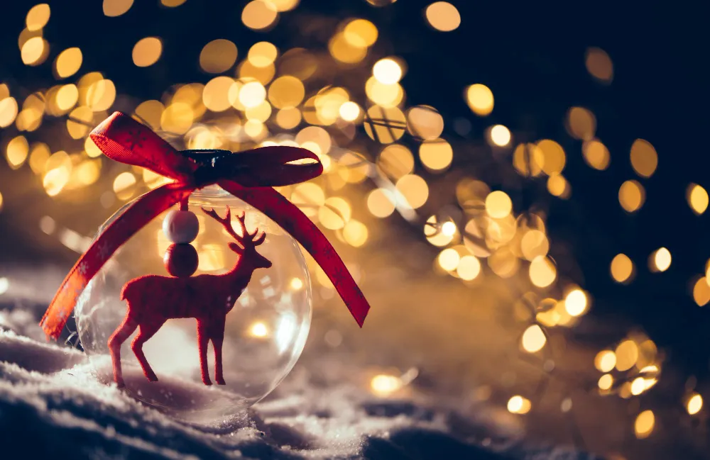Belles fêtes de fin d’année à toutes et à tous